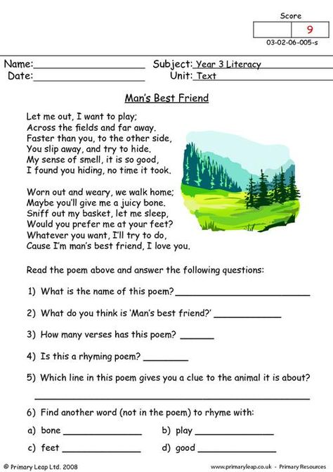 Duck Worksheet, Poetry Comprehension Worksheets, Beach Worksheet, Poetry Comprehension, Cloze Activity, Free Worksheets For Kids, Short Passage, English Grammar Worksheets, Student Information