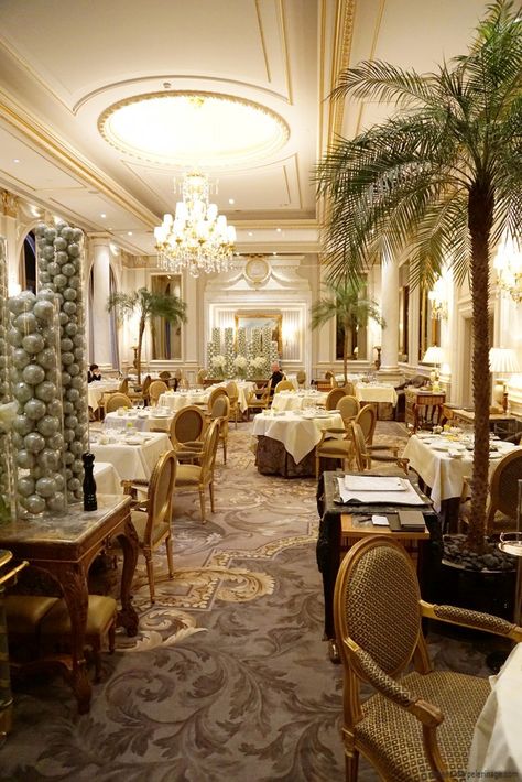 The Le Cinq michelin-star restauran inside the Four Seasons Hotel George V in Paris Classic Restaurant Design, French Restaurant Design, Classical Restaurant, Restaurant Classic, French Gardens, Classic Restaurant, Laduree Paris, Elegant Restaurants, Hotel In Paris