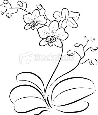 orchid outline Orchid Stencil, Orchid Drawing Simple, Orchid Line Drawing, Orchid Outline, Orchid Drawing, Orchid Tattoo, Art Tutorial, Flower Drawing Tutorials, Flower Art Drawing