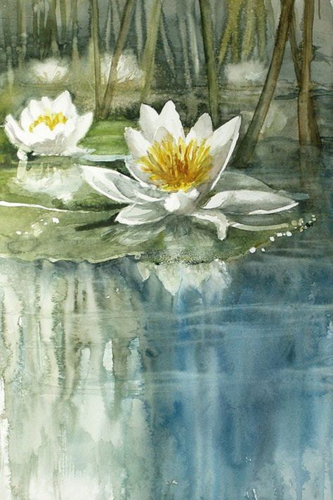 From Flower Story Tableau Art, A Pond, Watercolor Inspiration, Water Lilies, Art Abstrait, 그림 그리기, Watercolour Painting, Painting Inspiration, Watercolor Flowers