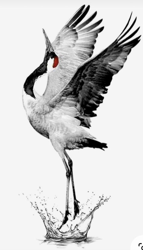 Crane Painting, Crane Drawing, Heron Tattoo, Crane Tattoo, Vogel Tattoo, Wrist Tattoo Ideas, Animal Tattoo Ideas, Heron Art, Zen Painting