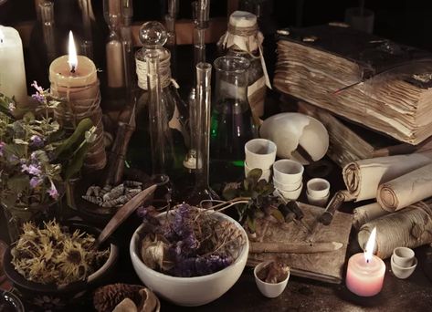 Using Animal Parts in Pagan and Wiccan Rituals Four Thieves Vinegar, Witch Kit, Witch Herbs, Witchcraft Books, Occult Books, Folk Magic, Fotografi Digital, Witchcraft Supplies, Witch Books