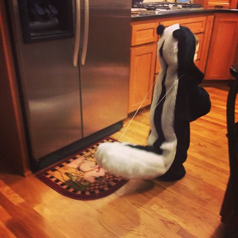 Skunk costume made by grandma with a lifting tail for spraying action! Skunk Fursuit, Diy Skunk Tail Costume, Dog Skunk Costume, Toddler Skunk Costume, Skunk Halloween Costume, Skunk Costume, Shark Halloween, Horse Costumes, Up Costumes