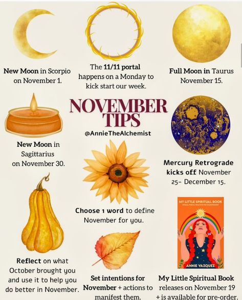 November Witchcraft, Hoodoo Witch, Flowers February, Witchcraft Knowledge, Beaver Moon, Rising Virgo, Magickal Correspondences, Swarm Of Bees, September Ends