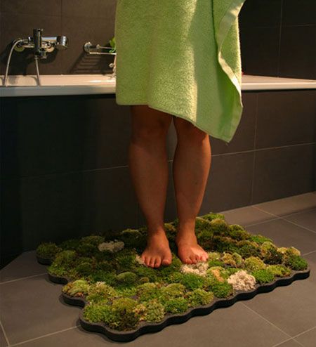 How to make a live moss bath mat. Moss Bathmat: To create it, get yourself a length of thick polyethylene foam from the hardware store, carve out cups for your mosses to be tucked into, and then place it outside your bathtub or shower enclosure to soak up drips when you step onto it. Moss Shower Mats, Diy Bathroom Mat, Moss Bath Mat, Moss Rug, Decoration Originale, Shower Mat, Eco House, Diy Hacks, Shower Enclosure