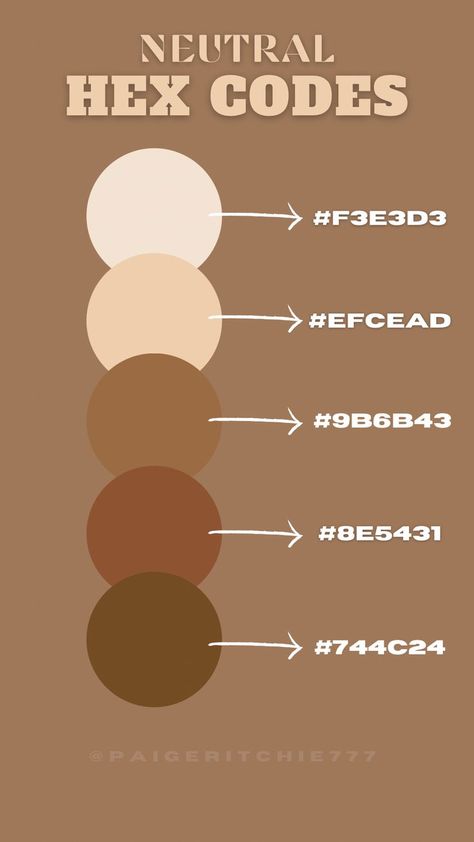 neutral colors, browns, tans, whites, natural color pallete, neutral, brown, cream, tan Neutrals Hex Code, Neutral Club Outfit, Cottagecore Hex Codes, Google Calendar Hex Codes Boho, Vintage Hex Codes, Light Brown Hex Code, Skin Tone Hex Codes, Light Academia Color Palette Hex Codes, Brown Brand Color Palette