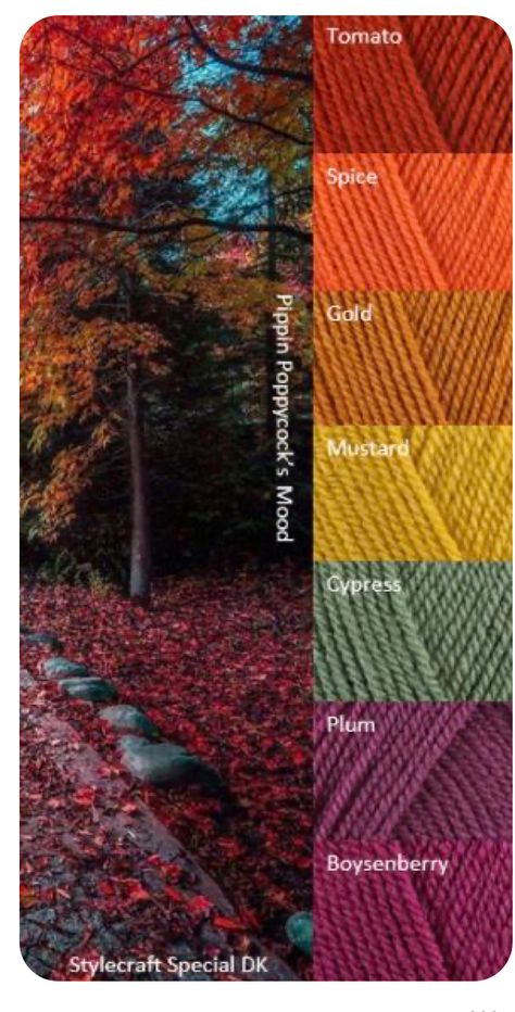 Stylecraft Colour Palette, Autumn Yarn Colors, Fall Yarn Color Combinations, Crochet Blanket Autumn Colours, Fall Crochet Color Combos, Fall Season Color Palette, Crochet Blanket Color Palette, Fall Colors Crochet Blanket, Fall Color Palette 2023