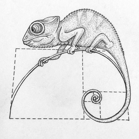 Chameleon Line Tattoo, Chameleon Drawing Realistic, Chameleon Line Drawing, Camilion Tattoos, Camelions Drawing, Camilian Lizard Drawing, Chameleon Sketch, Chameleon Drawing, Lizard Drawing