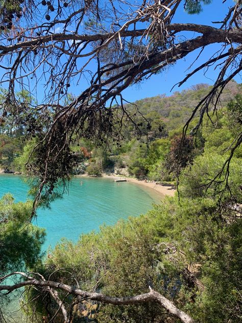 beach poros island greece greek islands Cypress Island Greece, Greek Island Aesthetic, Greek Countryside, Greece Pics, Poros Greece, Cypress Island, Greece Country, Bobby Fischer, Europe 2024