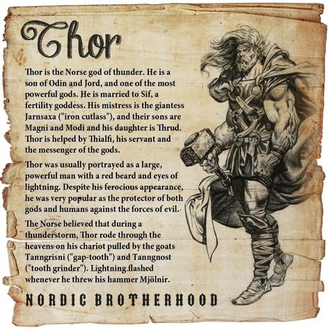 Norse Pantheon, Odin Norse Mythology, Arte Viking, Norse Paganism, Symbole Viking, Norse Gods, Norse Goddess, Pagan Gods, Norse Myth