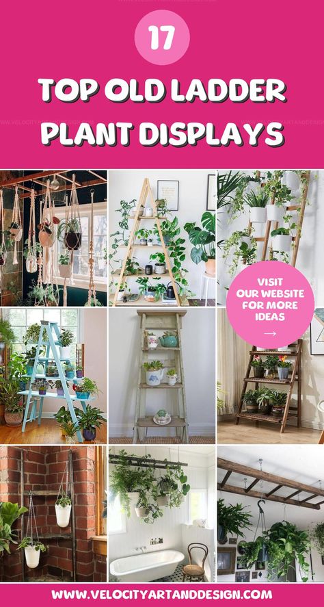 Old ladder ideas for displaying houseplants offer creative ways to elevate your greenery. Discover clever setups that turn ladders into unique plant stands for any space. Unique Plant Stands, Old Ladder Ideas, Ladder Trellis, Hanging Ladder, Ladder Ideas, Jar Display, Old Ladder, Wooden Ladder, Vintage Teacups