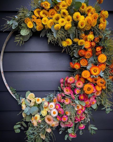 WREATHS DAYLESFORD FLORIST on Instagram: “COMPETITION TIME!!! Win this gorgeous Strawflower wreath grown in the fields of Wreaths Daylesford.  It’s so simple!  1. Like this image &…” Rainbow Dried Flowers, Straw Flower Wreath, Dried Strawflower Craft, Strawflower Arrangement, Strawflower Crafts, Strawflower Garland, Beltane Decorations, Strawflower Bouquet, Strawflower Wreath