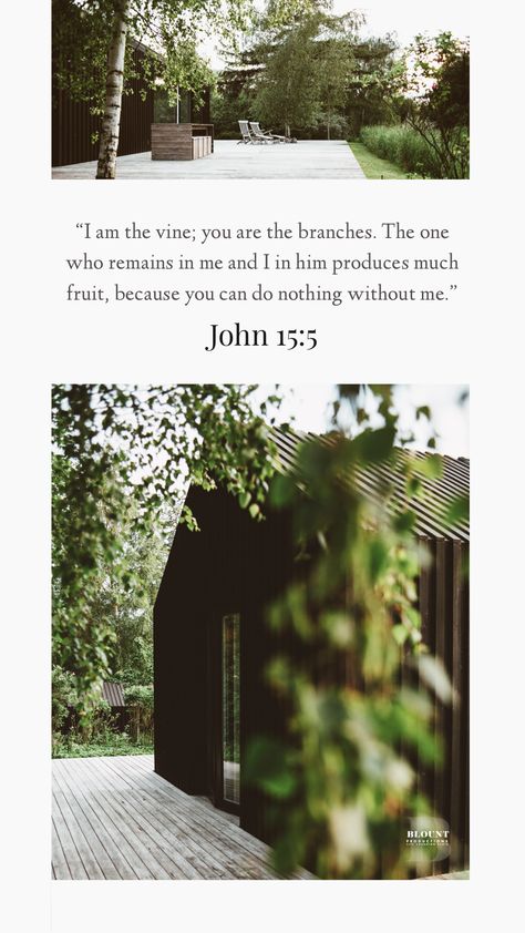 John 15 5 Wallpaper, John 15:5, Pray Everyday, God Wisdom, Worship Lyrics, Christian Iphone Wallpaper, Worship Quotes, John 15 5, True Vine