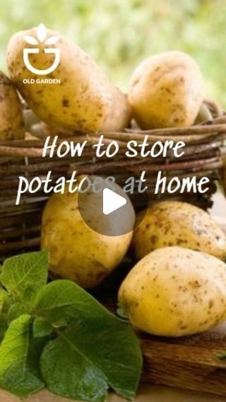 How To Store Fruits And Vegetables, Storing Potatoes, Potatoe Recipes, Kitchen Secrets, Cooking Tricks, Food Prep Storage, Storing Vegetables, How To Store Potatoes, Instagram Recipes