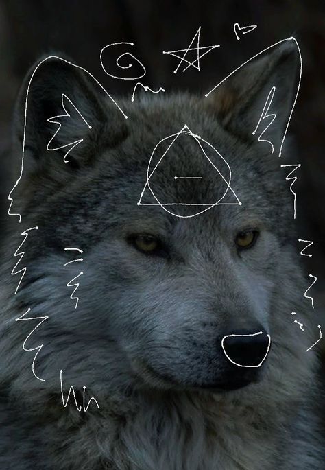 Be Serious, A Wolf, My Trip, Young Artist, Made By Me, Oregon, I Love, Art