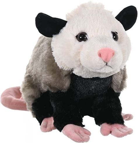 Opossum Plush, Thunder Buddy, Scavenger Hunts, Toy Gifts, Teddy Bear Stuffed Animal, Kawaii Plushies, Cute Stuffed Animals, Zoo Animals, Stuffed Animal