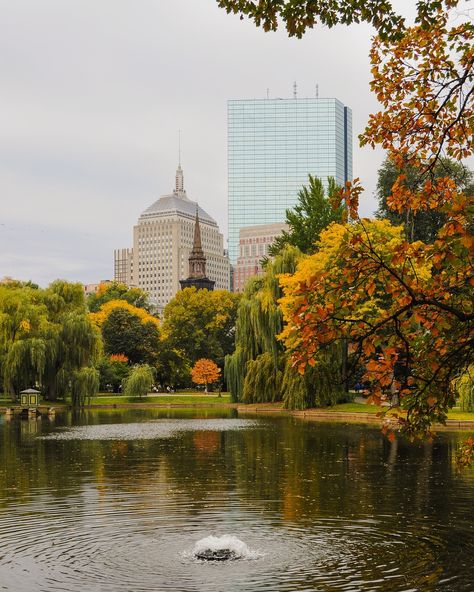 Throwback to fall in Boston in 2022 🍂✨ The city was a canvas of reds, golds, and crisp air #boston #fallvibes #fallcolors #fallfoliage #bostoncommon #bostonpublicgarden #igersboston #bostonmassachusetts #bostonma #ma #massachusetts #ilovemyboston #boston_igers #folliage #newengland Fall In Boston Aesthetic, Boston In The Fall Aesthetic, Copley Square Boston, Boston Living Aesthetic, Boston Vision Board, Boston Pictures Ideas, Boston Scenery, Boston Aesthetic Summer, Boston Summer Aesthetic