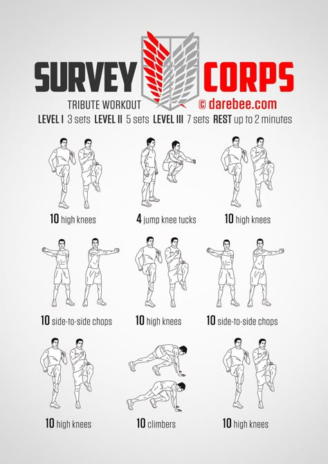 Survey Corps Workout Assassin Workout, Superhero Workouts, Darebee Workout, Nerdy Workout, Nerd Fitness, Superhero Workout, Survey Corps, Martial Arts Workout, Free Workouts