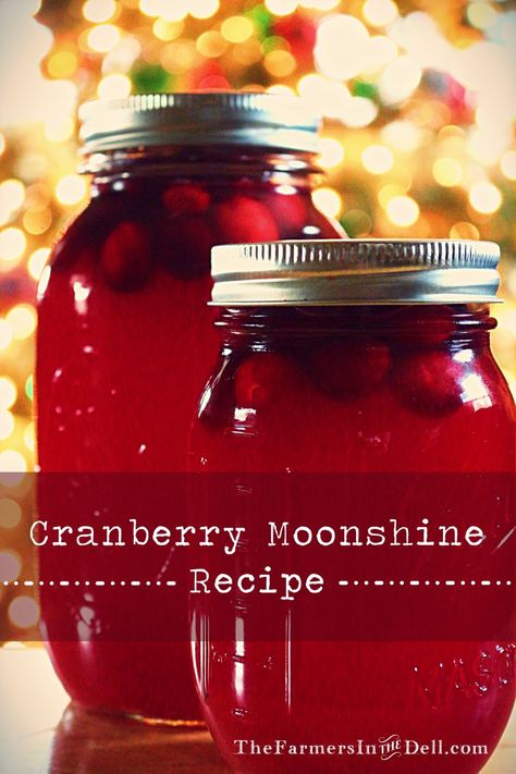 My cranberry craze continues!  Only this time, I’ve added some hooch.  Refrigerate overnight or let it sit for a few weeks to mellow.  Either way, it produces quite a kick!  Please enjoy resp… Cranberry Moonshine Recipes, Crock Pot Moonshine Recipes, Christmas Moonshine Recipes, Grape Moonshine Recipes, Everclear Moonshine Recipes, Cranberry Moonshine, Caramel Apple Jam Recipe, Moonshine Recipe, Hard Apple Cider