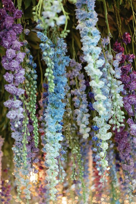 Delphinium Wedding Flowers, Purple Hanging Flowers Wedding, Hanging Delphinium Wedding, Purple Delphinium Bouquet, Light Blue Delphinium Bouquet, Ceiling Installation, Delphinium, Bedroom Aesthetic, Ranch Wedding