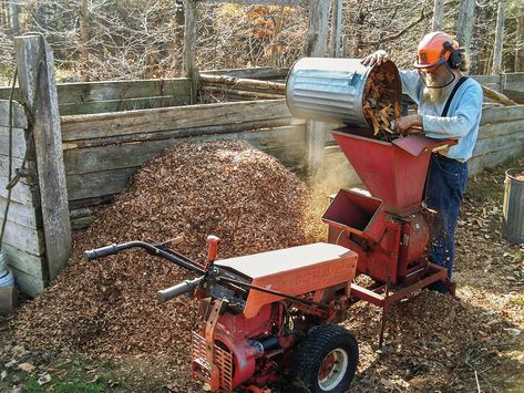 How to Make Your Own Mulch With Fallen Leaves | Though the conventional wisdom about tree leaves is that they aren’t as valuable for soil-building purposes as livestock manure, Bonsall believes they’re still a great option to use as a base for mulching. What they may lack in individual concentrations of nitrogen, they more than makeup for in volume. So if you’re following his advice, you no longer have to stress about what to do or where to put all the leaves in your yard, simply turn them into Leaf Mulch, Small City Garden, Chelsea Green, Mulch Landscaping, Gardening Techniques, Front Landscaping, Mother Earth News, Fallen Leaves, Natural Building