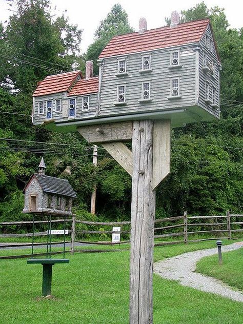 Beautiful Birdhouses, Garden Birdhouses, Bird House Feeder, Butterfly Houses, Bird House Plans, Unique Bird Houses, Bird Aviary, French Country Cottage, Bird Garden