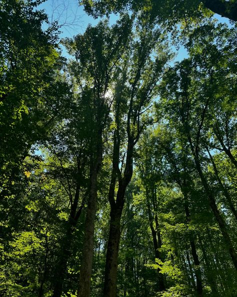 Me and nature go together real bad! As a rootworker I am in my element when I’m in tune with nature. If you signed up for my magic in the mountains ritual it’s about to be 🔥! In Tune With Nature, In My Element, In The Mountains, The Mountain, Ritual, Vision Board, Quick Saves, Nature