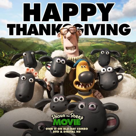 Shaun would like to wish ewe a Happy Thanksgiving! Enjoy celebrating with your flock and those who you are thankful for! #ShaunTheSheep Movie now available on Blu-ray combo, DVD & Digital HD in the US! Wallace And Gromit Characters, Aardman Animations, Animation Stop Motion, Feels Like Summer, Nickelodeon Cartoons, Shaun The Sheep, The Sheep, Cartoons Series, Kinds Of Music