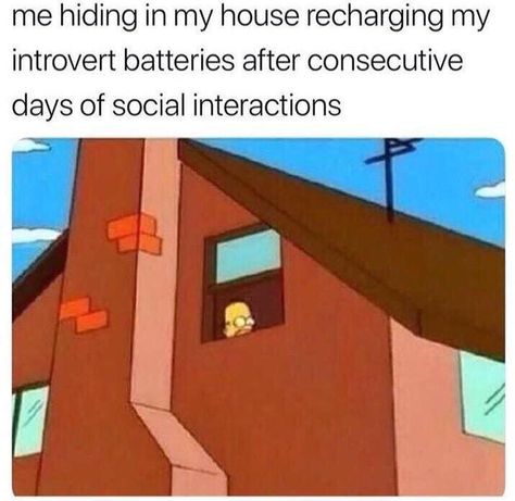 80+ Introvert Memes That Will Speak Your Mind For You Spongebob Template, Pressure Points For Headaches, Social Battery, Cat Hiding, Morning Humor, Funny Relationship, Social Interaction, Cartoon Cat, The Simpsons