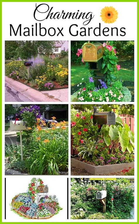 Thinking of selling your home? How about adding some curb appeal with one of these mailbox gardens? Mailbox Border Ideas, Flower Box Around Mailbox Ideas, Plants For Mailbox Area, Mailbox Ideas Curb Appeal Landscaping, Plants By Mailbox Curb Appeal, Planting Around Mail Boxes, Plants Around Mailbox Curb Appeal, Mail Box Landscaping Curb Appeal, Mailbox For Garden Tools