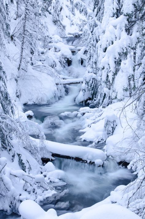 Snow On Mountains, Oregon Snow, Snow Shoeing, Snow Trails, Oregon Winter, Cold Places, Snow Place, Reflection Photos, Snow Mountains