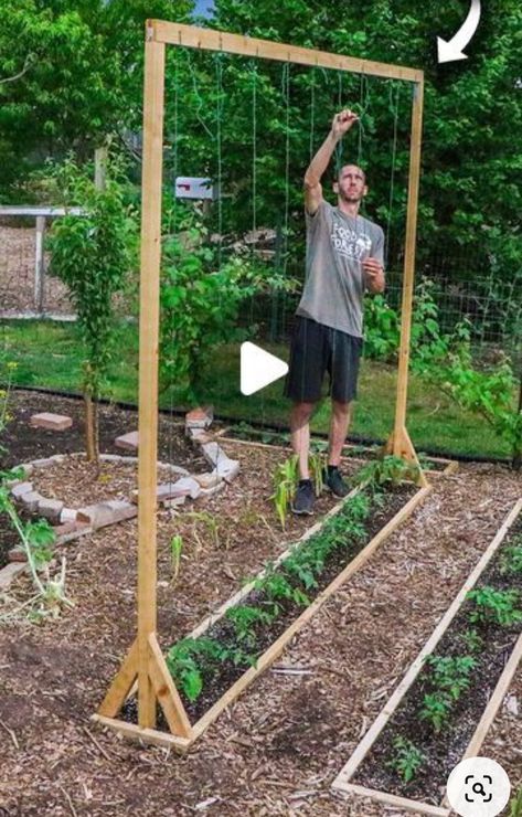 Simple Raised Bed Garden, Tomato Beds Raised, Raised Pallet Garden Beds, Diy Raised Bed Frame, Raised Bed Tomatoes, Small Raised Vegetable Garden, Raised Garden Beds With Trellis, Tomato Garden Trellis, Small Raised Garden Beds