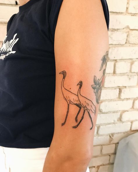 water birds for alex 🖤 Sandhill Crane Tattoo Simple, Sand Hill Crane Tattoo, Sandhill Crane Tattoo, Sand Hill Crane, Crane Tattoo, Sandhill Crane, Water Birds, Tattoo Simple, Bird Tattoo