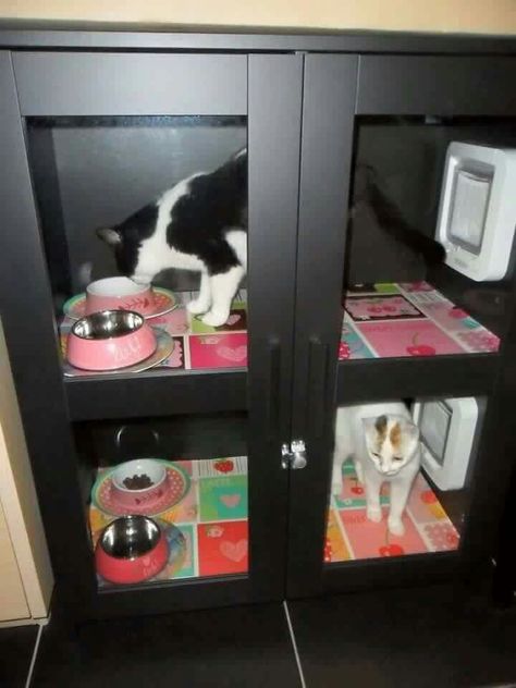 Cat Food Station, Katt Diy, Dog Food Station, Cat Feeding Station, Diy Chat, Kat Diy, Pet Feeding Station, Cats Food, Cat Eating