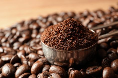 Before you discard your used coffee grounds, discover how to use them in the garden, the kitchen, or as part of your beauty routine (or all of the above). Bru Coffee, Drinking Black Coffee, Waste Recycling, Coffee Body Scrub, Vintage Coffee Pot, Uses For Coffee Grounds, Waste Reduction, Coffee Shop Ideas, Aesthetic Foods