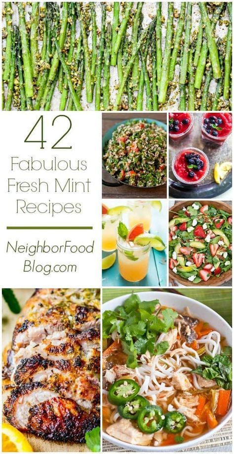 Mint Dinner Recipes, Recipe With Mint Leaves, Recipes That Use Mint Leaves, Fresh Spearmint Recipes, Mint Food Recipes, Cooking With Mint Leaves, Recipes With Spearmint Leaves, Recipes Using Fresh Mint Leaves, Recipes With Mint Leaves Dinner