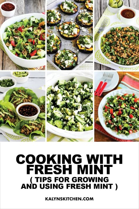 Pinterest image for Cooking with Fresh Mint, showing 6 photos of recipes with mint. Meditranian Recipes, Using Fresh Mint, Mint Recipes Dessert, Mint Recipes Fresh, Ideas For Cooking, Fresh Herb Recipes, Cooking With Fresh Herbs, Mint Herb, Growing Mint