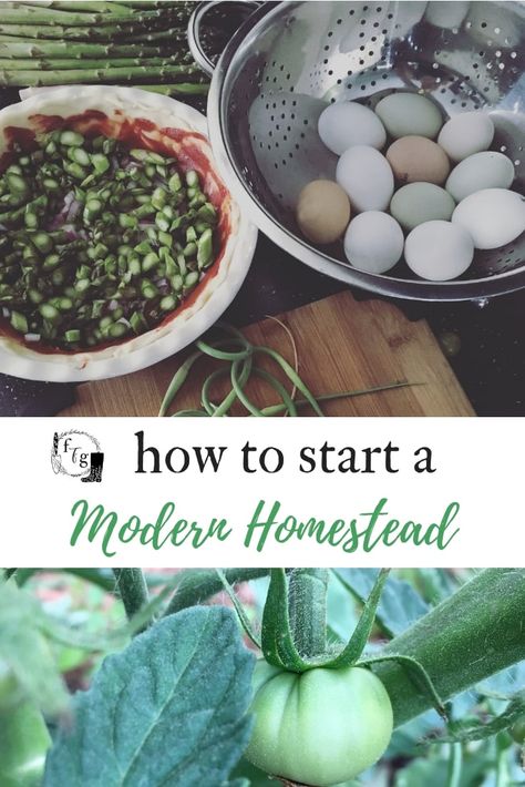 How to start a modern homestead Homestead Land, Modern Homestead, Healthy Fruits And Vegetables, Tea Herbs, Pioneer Life, Modern Homesteading, Backyard Garden Ideas, Foraged Food, Homestead Life