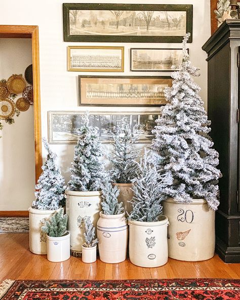 Vintage Crocks, used to hold Christmas Tree, vintage panorama photos, yardlong photos, flocked trees, vintage Christmas decor, vintage rugs, Christmas Trees in Crocks, Christmas tree in crock, 20 gallon crocks, crock collection, vintage crocks, pickling crocks. Crock Display, Barn Christmas, Vintage Crock, Winter Decorating, Neutral Christmas, Cabin Christmas, Christmas Tours, Christmas Crafting, Small Christmas Trees