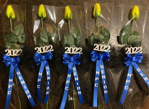 Softball Roses, Volleyball Locker, Senior Sash, Volleyball Senior Night, High School Softball, Softball Coach Gifts, Senior Softball, Senior Day, Senior Football