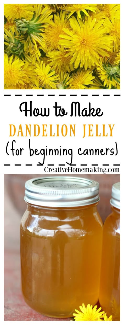 Water Ideas, Dandelion Jelly, Bath Water, Easy Recipe, Dandelion, Jelly, Jam, Honey, Bath