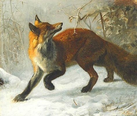 Fox In The Snow, Fox Artwork, Fox Pictures, Fox Painting, Canine Art, Pet Fox, Wildlife Paintings, Fox Art, Arte Fantasy