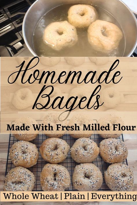 homemade bagels made with fresh milled whole wheat flour with everything seasoning Wheat Berry Recipes, Ancient Grains Recipes, Fresh Milled Flour, Basic Bread Recipe, Everything Seasoning, Whole Wheat Bagel, Everything Bagels, Healthy Flour, Wheat Bread Recipe