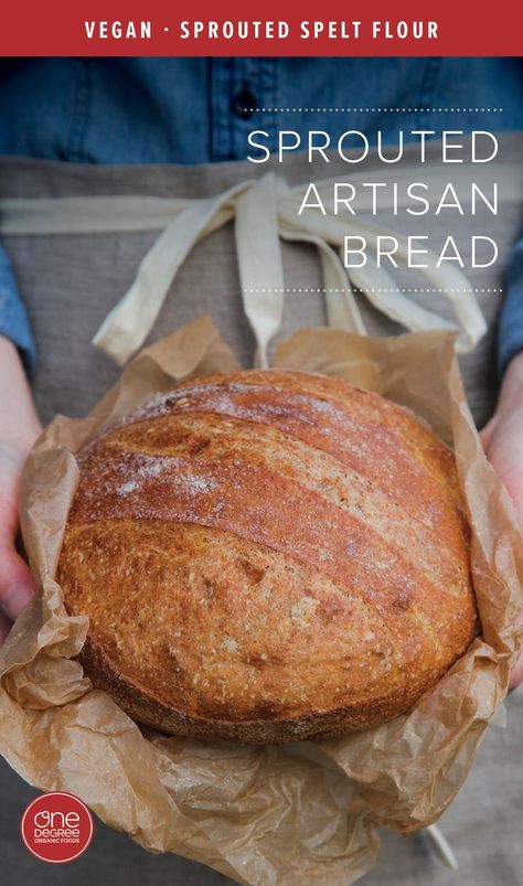 Sprouted Spelt Bread Recipe, Crusty Artisan Bread, Spelt Bread Recipe, Spelt Flour Recipes, Sprouted Wheat Bread, Bread Artisan, Wheat Flour Recipes, Spelt Recipes, Sprouted Grain Bread