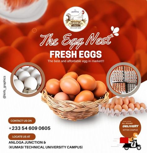 Egg Poster Design, Free Flyer Design, Egg Shop, Eggs For Sale, Storefront Design, Flyer Design Layout, Photoshop Design Ideas, Graphic Design Infographic, Creative Flyer Design