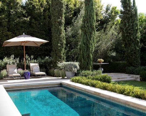 Mediterranean Pool Design, Plants Around Pool, Small Yard Design, Mediterranean Pool, Moderne Pools, Small Swimming Pools, Modern Pools, Small Pools, Landscape Designs