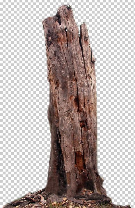 Dead Nature, Tree Png, Iphone Wallpaper Nasa, Hd Happy Birthday Images, Wood Png, Png Images For Editing, Tree Photoshop, Birthday Background Images, Photoshop Digital Background