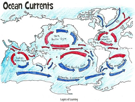 Printable and free map of the ocean currents.                                                                                                                                                                                 More Ocean Currents Map, Ocean In A Bottle, Ocean Currents, Ocean Unit, Map Worksheets, Ocean Science, Physical Geography, 8th Grade Science, Geography Map