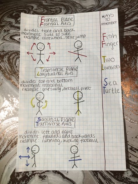 Frontal, transverse, sagittal planes. Frontal, longitudinal, transverse axis. Frontal Plane Anatomy, Sagittal Plane Anatomy, Anatomy Planes And Sections, Body Planes Anatomy Notes, Body Planes Anatomy, Anatomy Planes, Body Planes, Frontal Plane, School Studying Tips