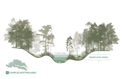 Landscape Section, Section Drawing Architecture, Watershed Management, Urban Spaces Design, Landscape Diagram, Urban Design Graphics, Landscape Design Drawings, Wetland Park, Section Drawing